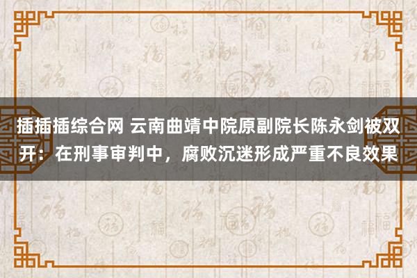 插插插综合网 云南曲靖中院原副院长陈永剑被双开：在刑事审判中，腐败沉迷形成严重不良效果