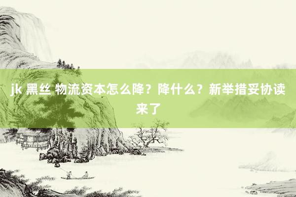 jk 黑丝 物流资本怎么降？降什么？新举措妥协读来了