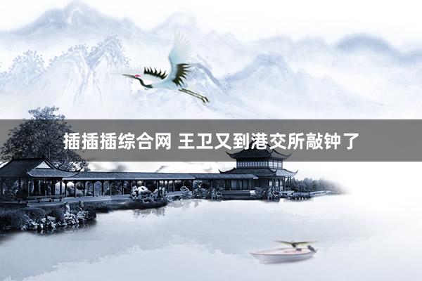 插插插综合网 王卫又到港交所敲钟了