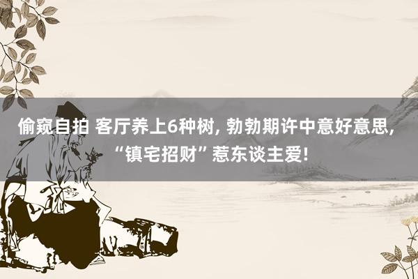 偷窥自拍 客厅养上6种树， 勃勃期许中意好意思， “镇宅招财”惹东谈主爱!
