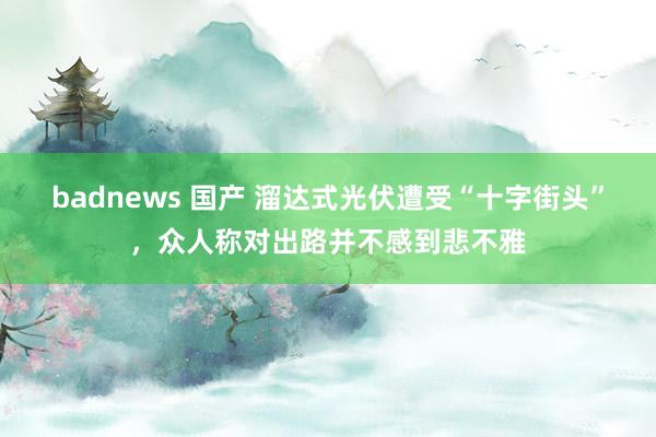 badnews 国产 溜达式光伏遭受“十字街头”，众人称对出路并不感到悲不雅