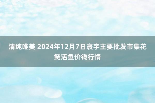 清纯唯美 2024年12月7日寰宇主要批发市集花鲢活鱼价钱行情