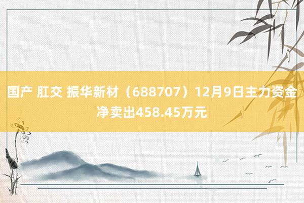 国产 肛交 振华新材（688707）12月9日主力资金净卖出458.45万元