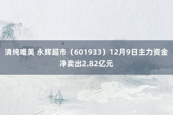 清纯唯美 永辉超市（601933）12月9日主力资金净卖出2.82亿元