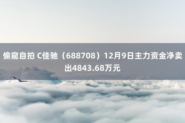 偷窥自拍 C佳驰（688708）12月9日主力资金净卖出4843.68万元