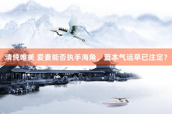 清纯唯美 爱妻能否执手海角，蓝本气运早已注定？