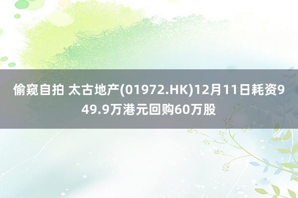 偷窥自拍 太古地产(01972.HK)12月11日耗资949.9万港元回购60万股
