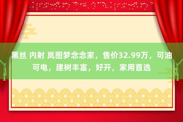 黑丝 内射 岚图梦念念家，售价32.99万，可油可电，建树丰富，好开，家用首选