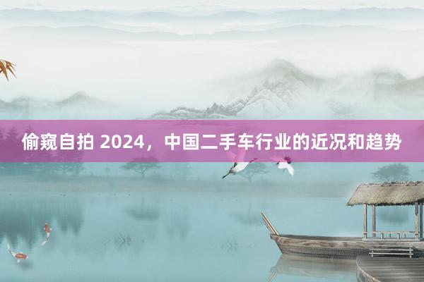 偷窥自拍 2024，中国二手车行业的近况和趋势