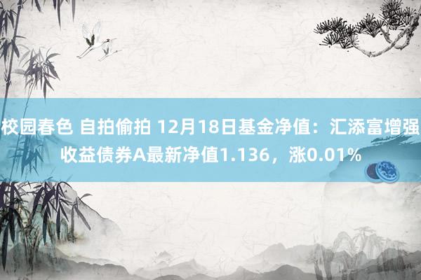 校园春色 自拍偷拍 12月18日基金净值：汇添富增强收益债券A最新净值1.136，涨0.01%