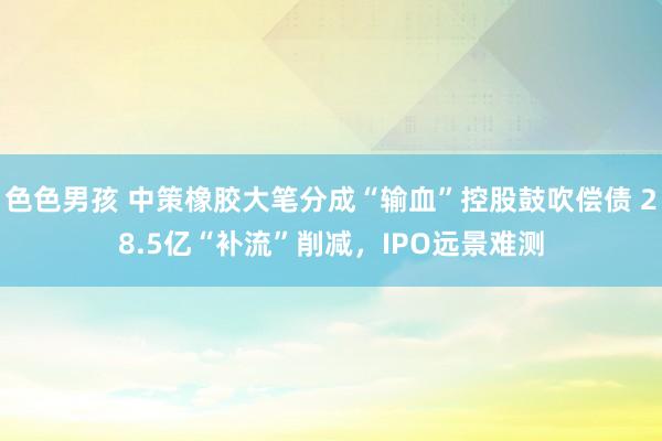 色色男孩 中策橡胶大笔分成“输血”控股鼓吹偿债 28.5亿“补流”削减，IPO远景难测