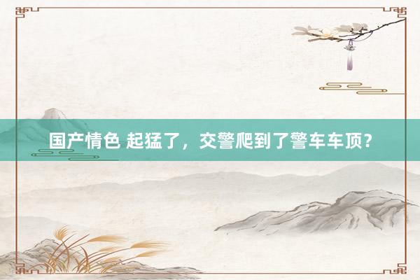 国产情色 起猛了，交警爬到了警车车顶？