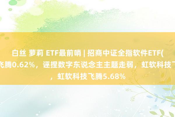 白丝 萝莉 ETF最前哨 | 招商中证全指软件ETF(159899)飞腾0.62%，诬捏数字东说念主主题走弱，虹软科技飞腾5.68%
