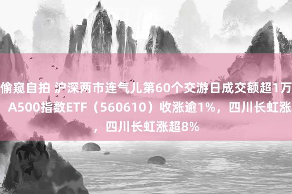 偷窥自拍 沪深两市连气儿第60个交游日成交额超1万亿元，A500指数ETF（560610）收涨逾1%，四川长虹涨超8%