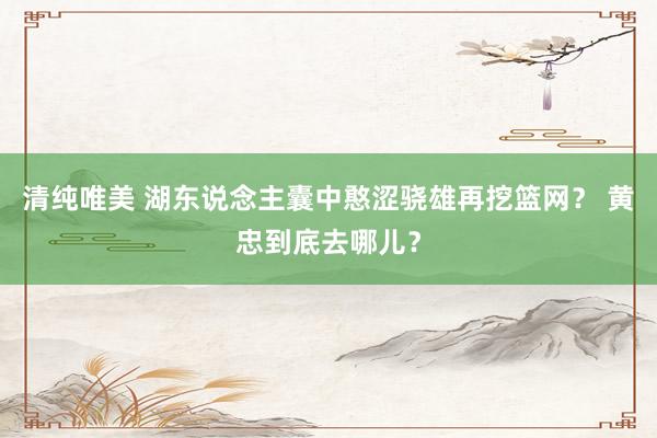清纯唯美 湖东说念主囊中憨涩骁雄再挖篮网？ 黄忠到底去哪儿？