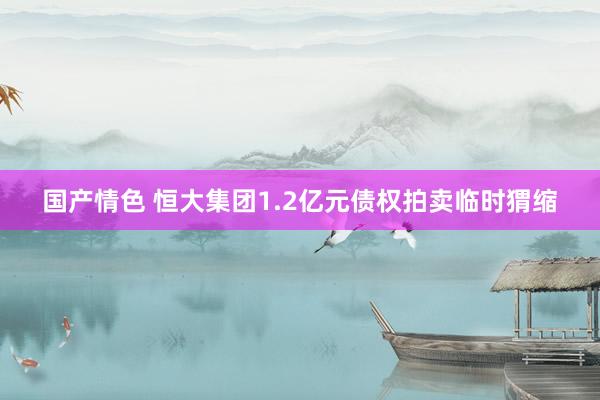 国产情色 恒大集团1.2亿元债权拍卖临时猬缩