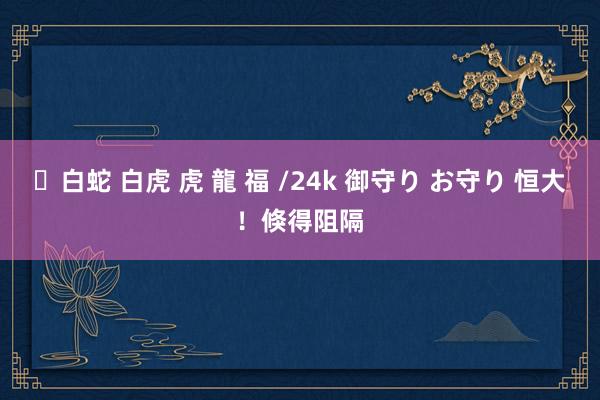 ✨白蛇 白虎 虎 龍 福 /24k 御守り お守り 恒大！倏得阻隔