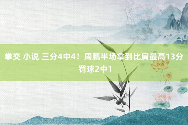 拳交 小说 三分4中4！周鹏半场拿到比肩最高13分 罚球2中1