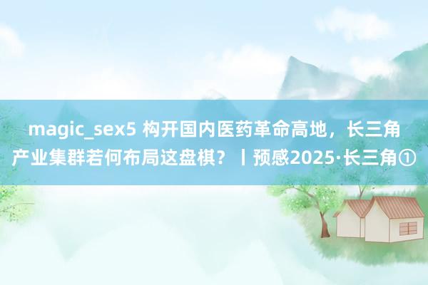 magic_sex5 构开国内医药革命高地，长三角产业集群若何布局这盘棋？丨预感2025·长三角①
