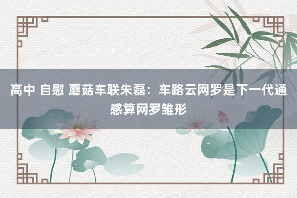 高中 自慰 蘑菇车联朱磊：车路云网罗是下一代通感算网罗雏形