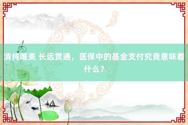 清纯唯美 长远贯通，医保中的基金支付究竟意味着什么？
