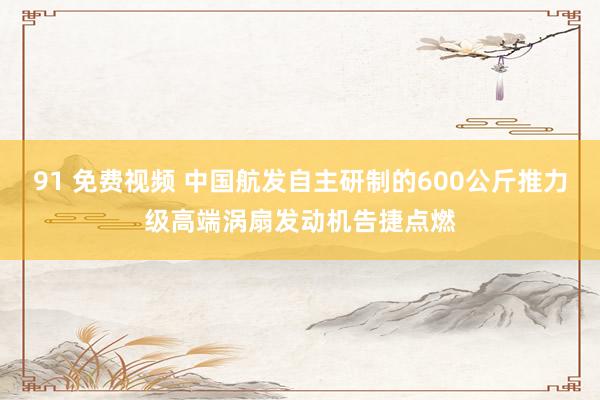 91 免费视频 中国航发自主研制的600公斤推力级高端涡扇发动机告捷点燃
