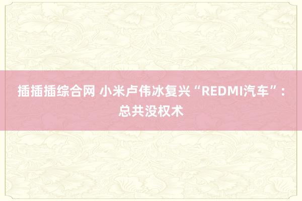 插插插综合网 小米卢伟冰复兴“REDMI汽车”：总共没权术