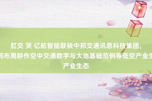 肛交 哭 亿航智能联袂中邦交通讯息科技集团，共同布局耕作空中交通数字与大地基础范例等低空产业生态
