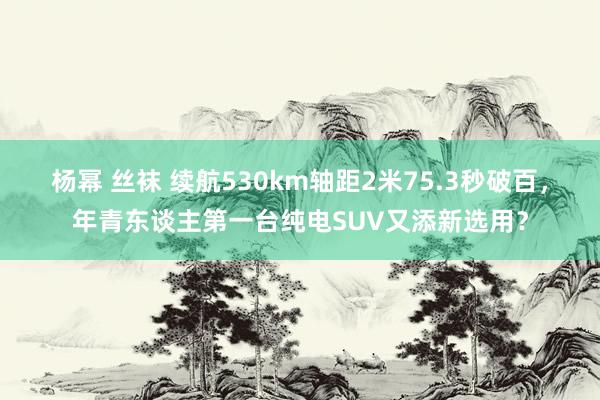 杨幂 丝袜 续航530km轴距2米75.3秒破百，年青东谈主第一台纯电SUV又添新选用？