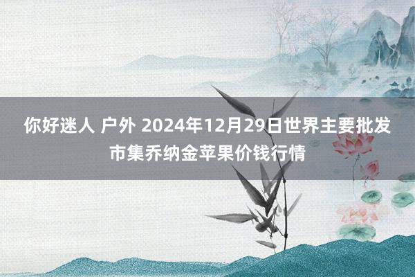 你好迷人 户外 2024年12月29日世界主要批发市集乔纳金苹果价钱行情