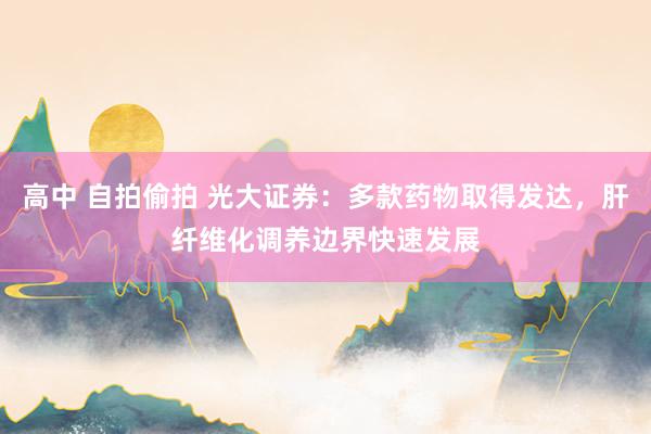 高中 自拍偷拍 光大证券：多款药物取得发达，肝纤维化调养边界快速发展