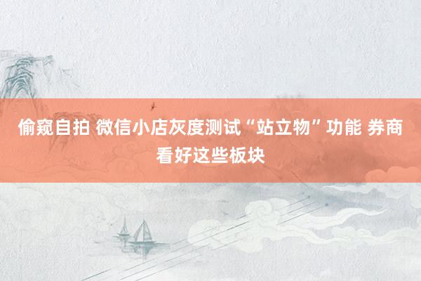 偷窥自拍 微信小店灰度测试“站立物”功能 券商看好这些板块