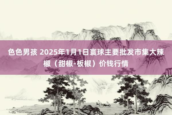 色色男孩 2025年1月1日寰球主要批发市集大辣椒（甜椒-板椒）价钱行情