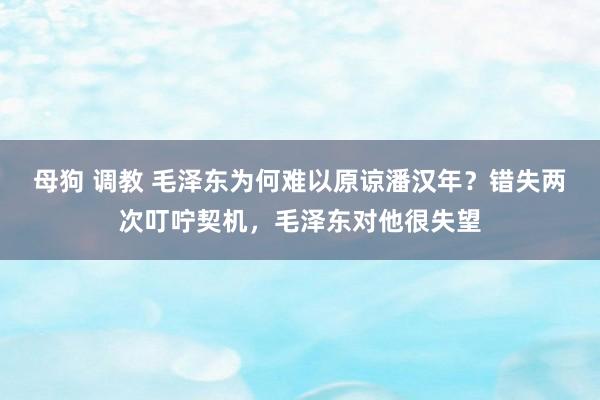 母狗 调教 毛泽东为何难以原谅潘汉年？错失两次叮咛契机，毛泽东对他很失望
