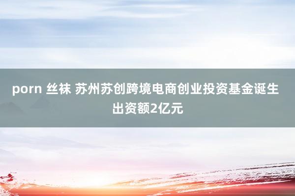 porn 丝袜 苏州苏创跨境电商创业投资基金诞生 出资额2亿元