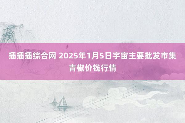 插插插综合网 2025年1月5日宇宙主要批发市集青椒价钱行情
