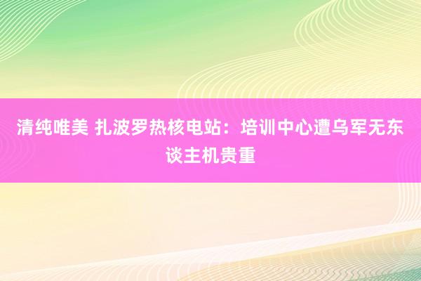 清纯唯美 扎波罗热核电站：培训中心遭乌军无东谈主机贵重