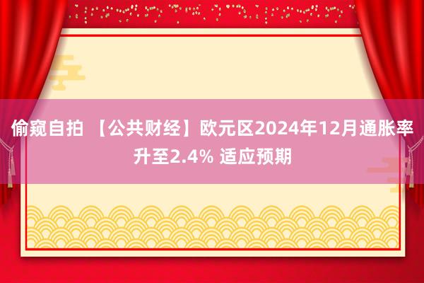 偷窥自拍 【公共财经】欧元区2024年12月通胀率升至2.4% 适应预期