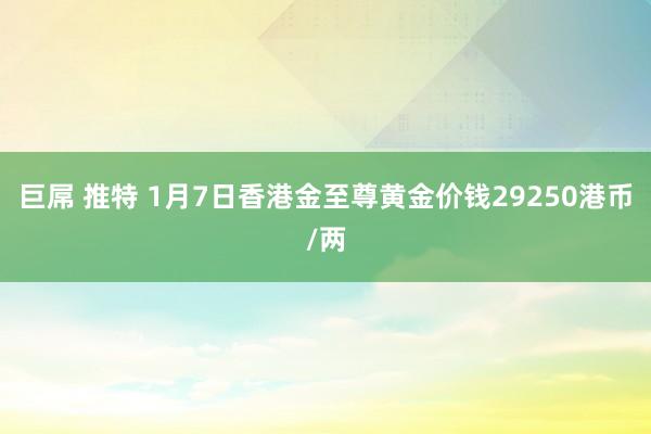 巨屌 推特 1月7日香港金至尊黄金价钱29250港币/两