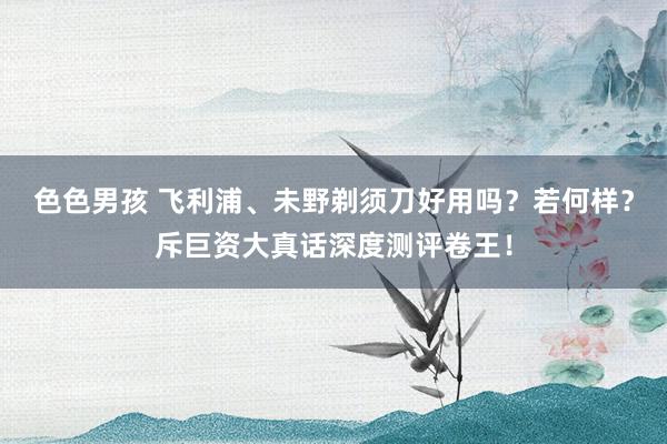 色色男孩 飞利浦、未野剃须刀好用吗？若何样？斥巨资大真话深度测评卷王！
