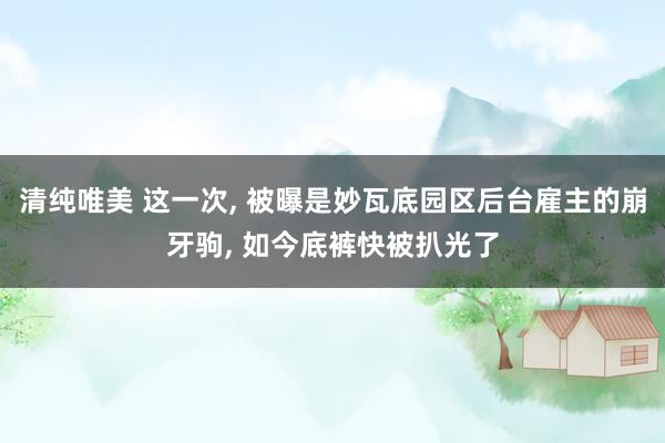 清纯唯美 这一次， 被曝是妙瓦底园区后台雇主的崩牙驹， 如今底裤快被扒光了