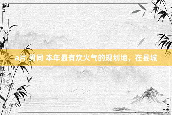 a片 男同 本年最有炊火气的规划地，在县城