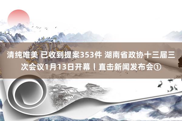 清纯唯美 已收到提案353件 湖南省政协十三届三次会议1月13日开幕丨直击新闻发布会①