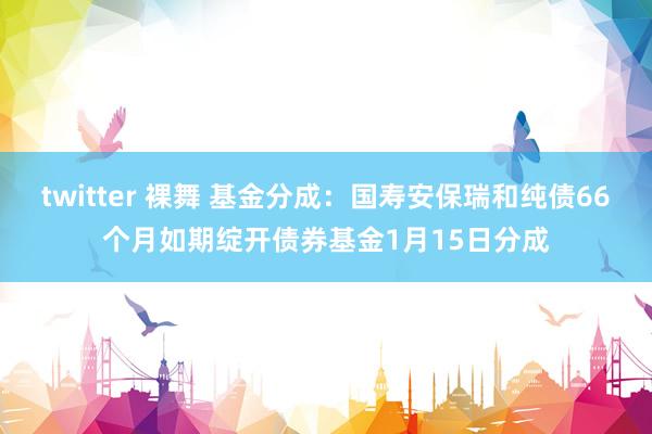 twitter 裸舞 基金分成：国寿安保瑞和纯债66个月如期绽开债券基金1月15日分成