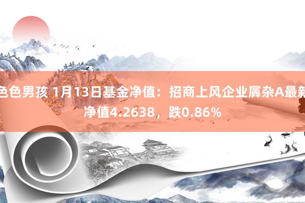 色色男孩 1月13日基金净值：招商上风企业羼杂A最新净值4.2638，跌0.86%