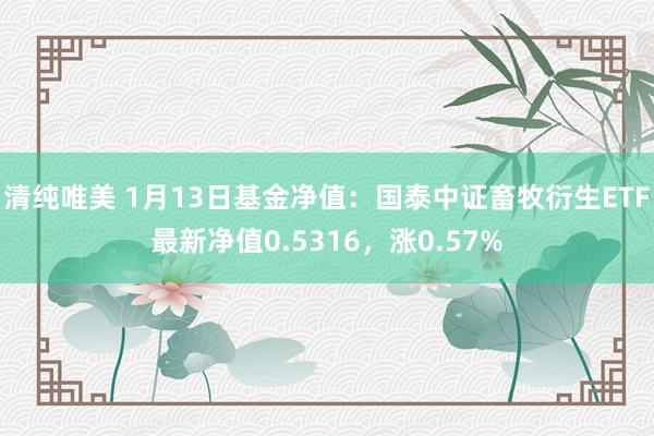 清纯唯美 1月13日基金净值：国泰中证畜牧衍生ETF最新净值0.5316，涨0.57%