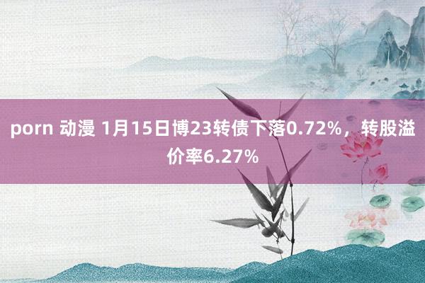 porn 动漫 1月15日博23转债下落0.72%，转股溢价率6.27%