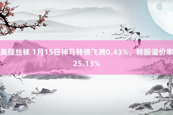 美腿丝袜 1月15日神马转债飞腾0.43%，转股溢价率25.13%