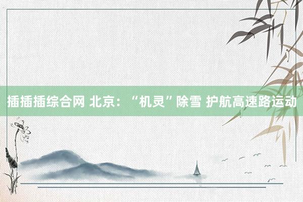 插插插综合网 北京：“机灵”除雪 护航高速路运动