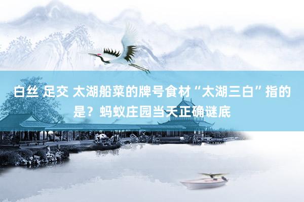 白丝 足交 太湖船菜的牌号食材“太湖三白”指的是？蚂蚁庄园当天正确谜底